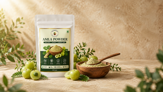 DHANROVA Organic Amla Powder with fresh Indian gooseberries on a warm beige background.