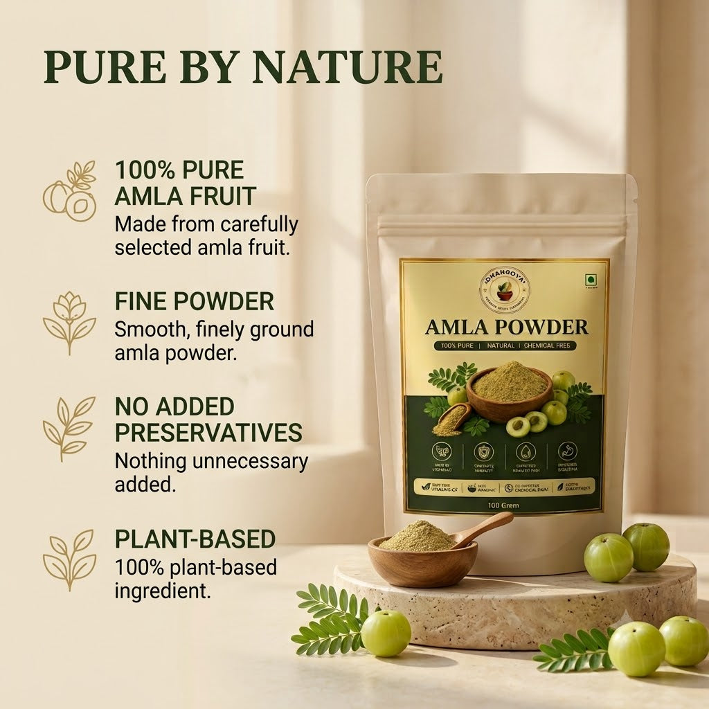 DHANROVA Amla Powder | 100% Pure Indian Amla | 100g