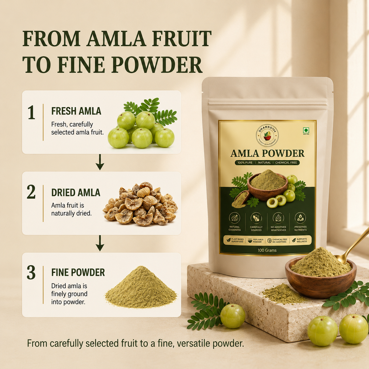 DHANROVA Amla Powder | 100% Pure Indian Amla | 100g
