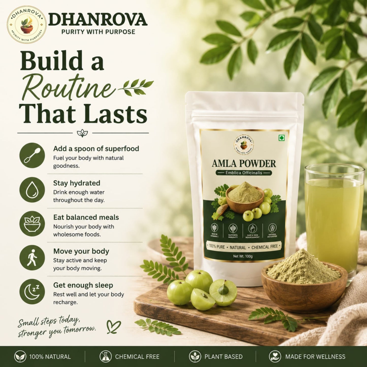 DHANROVA Amla Powder | 100% Pure Indian Amla | 100g