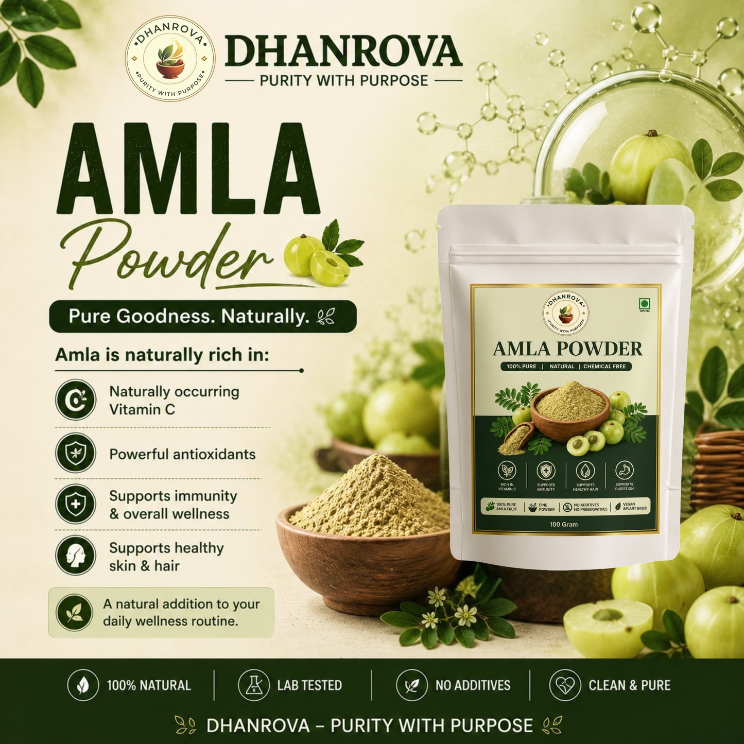DHANROVA Amla Powder | 100% Pure Indian Amla | 100g