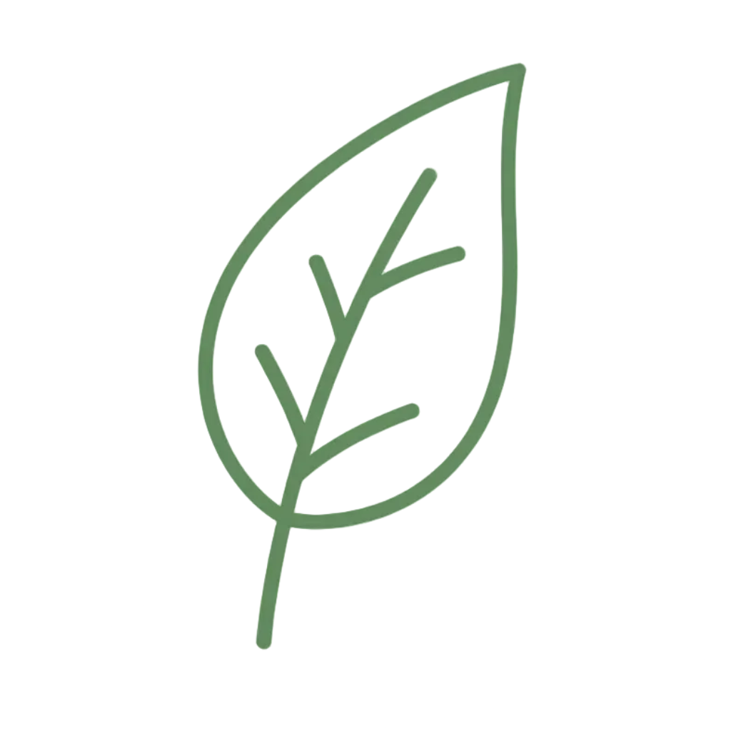 A simple green outline leaf icon centered on a white background with a faint checkerboard transparency pattern.